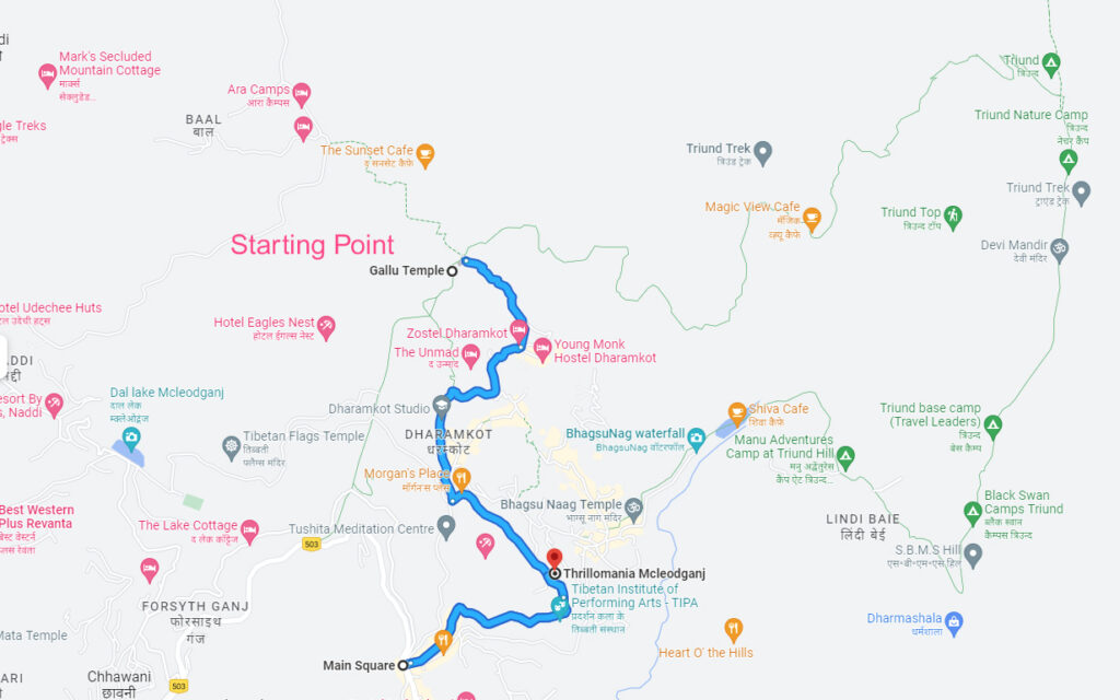 Triund trek