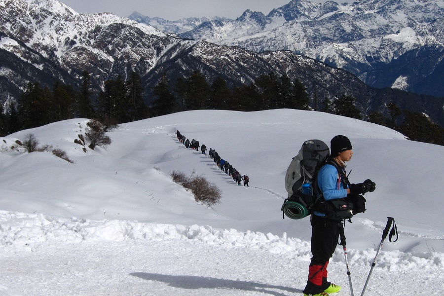 Dodital Trek