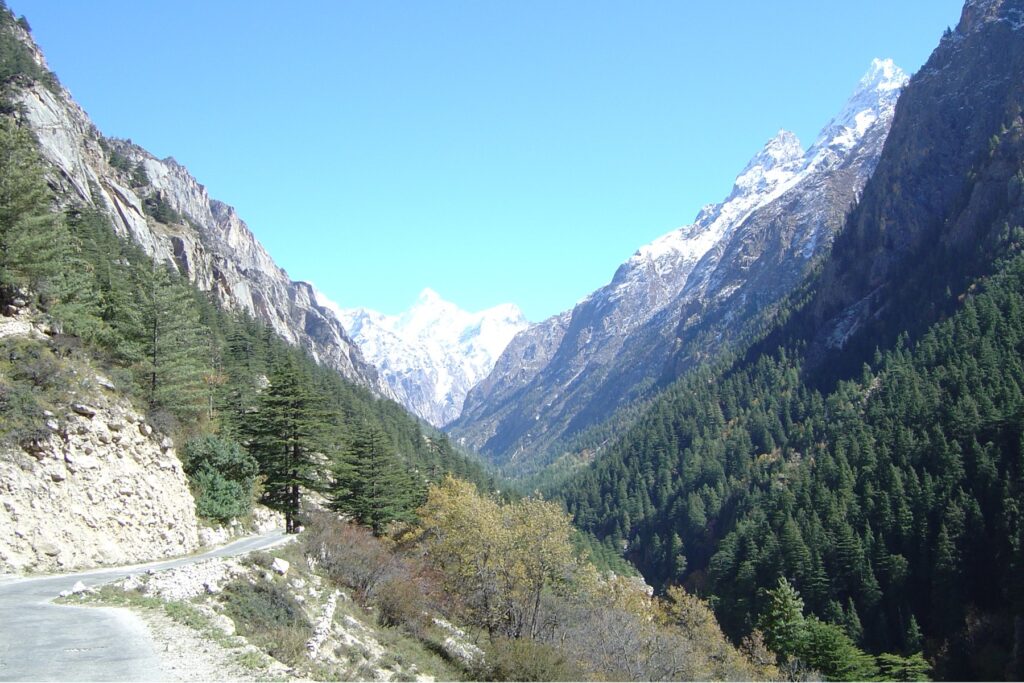 Gangotri Glacier Trek
